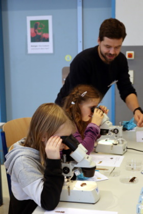 Biologie Mikroskopieren